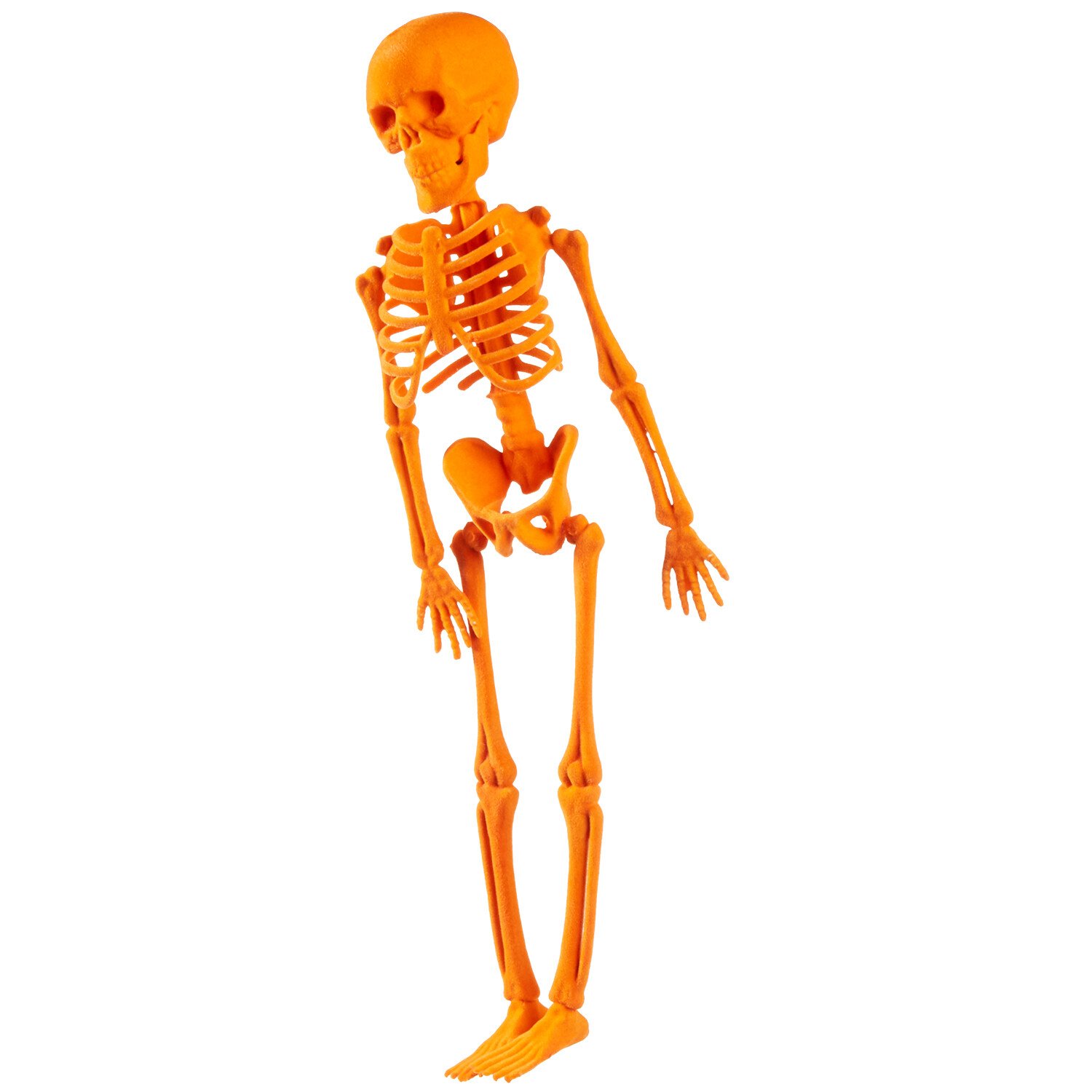 Neon Hanging Skeleton Multicolour Image 7