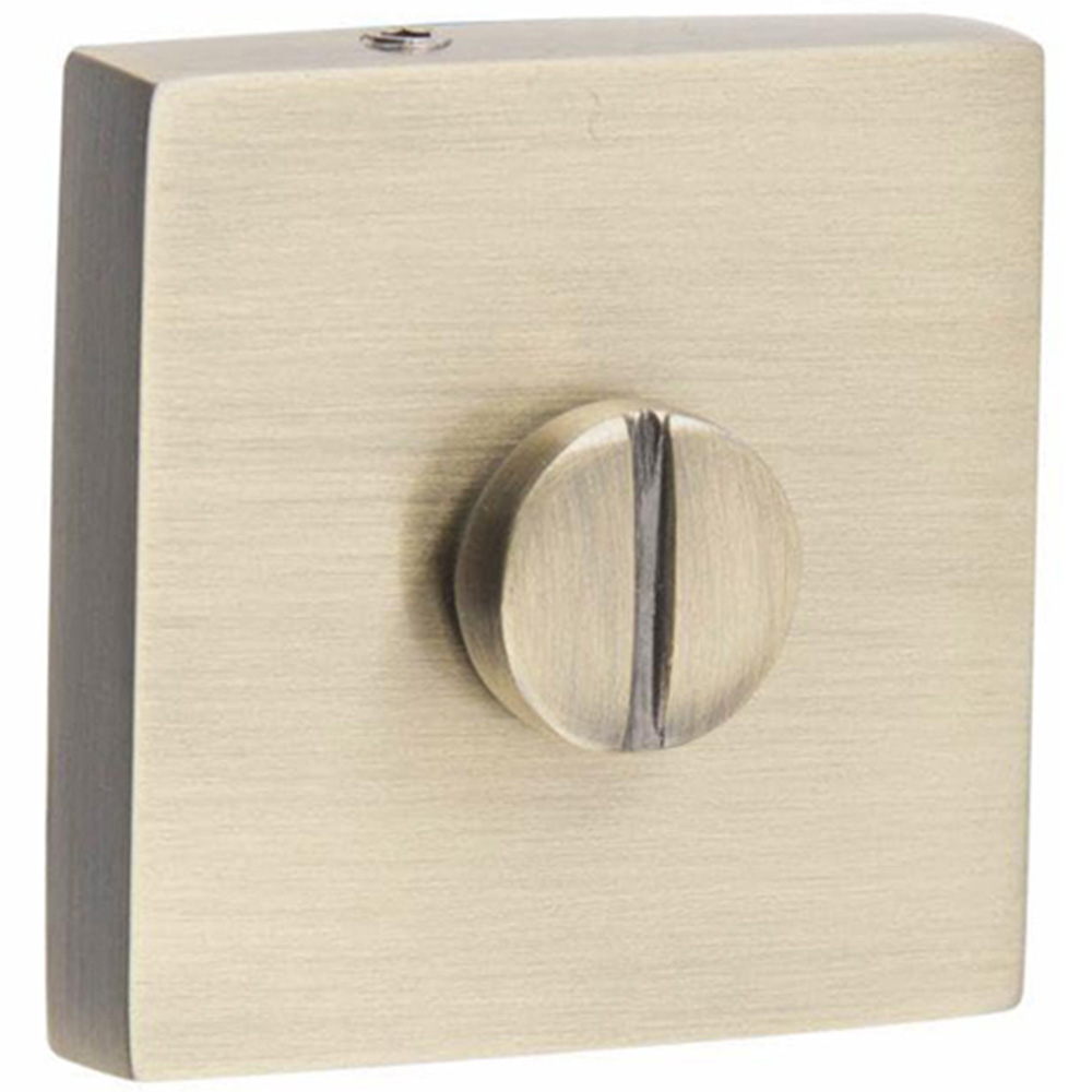 Golden Grace Antique Brass Lime Thumbturn Coin Release Image 3