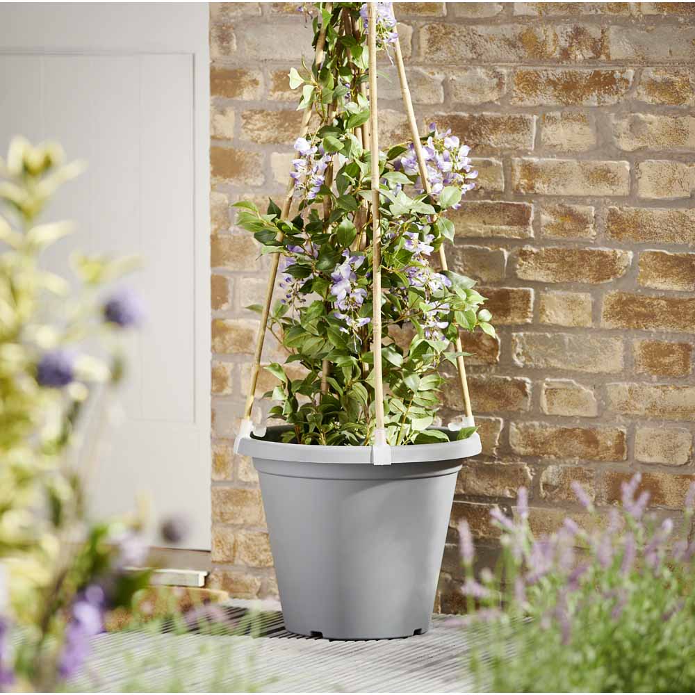 Clever Pots 40/50cm Round Pots Plant Supports 4 Pack Image 2