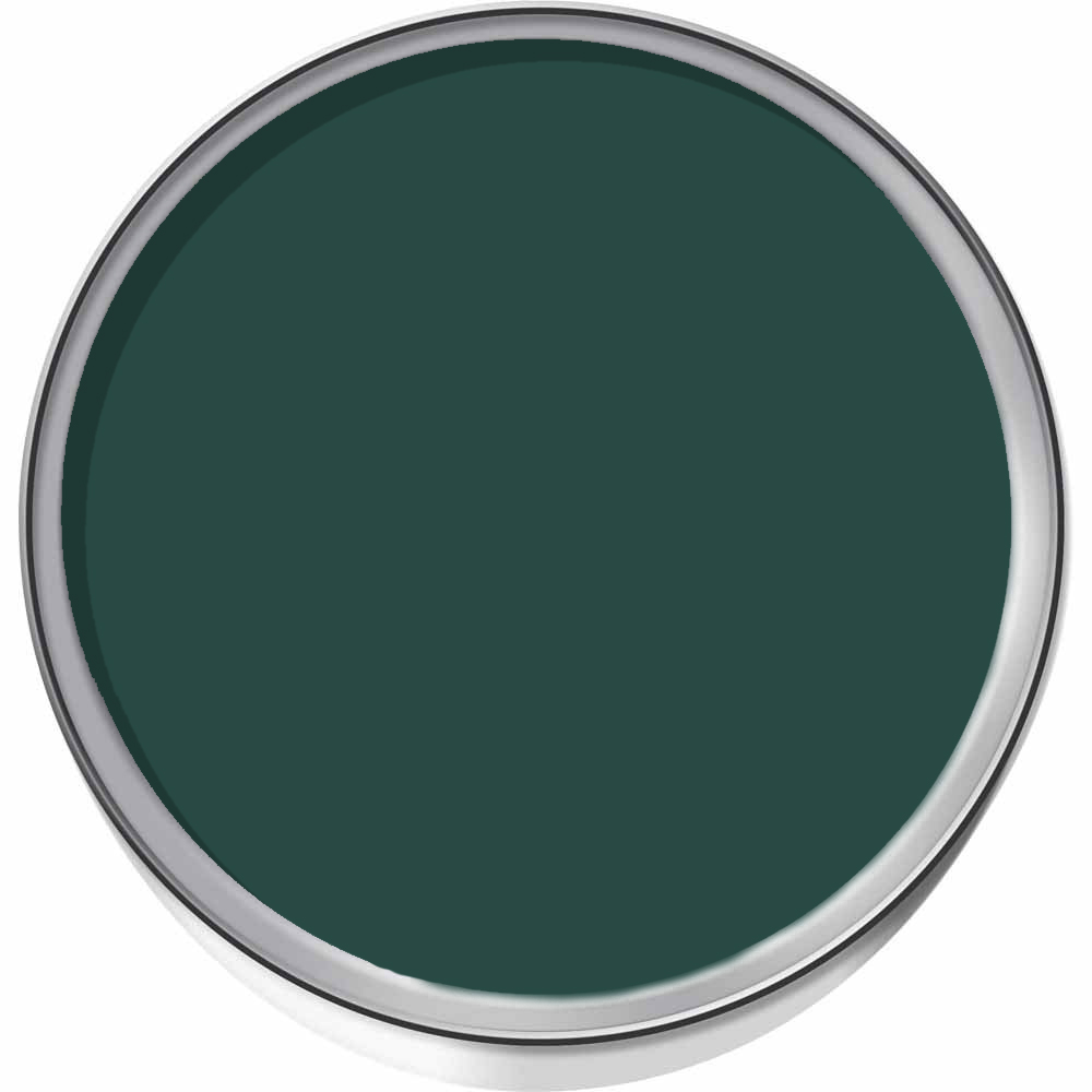 Wilko Bathroom Dark Ivy Mid Sheen Emulsion Paint 2.5L Image 4