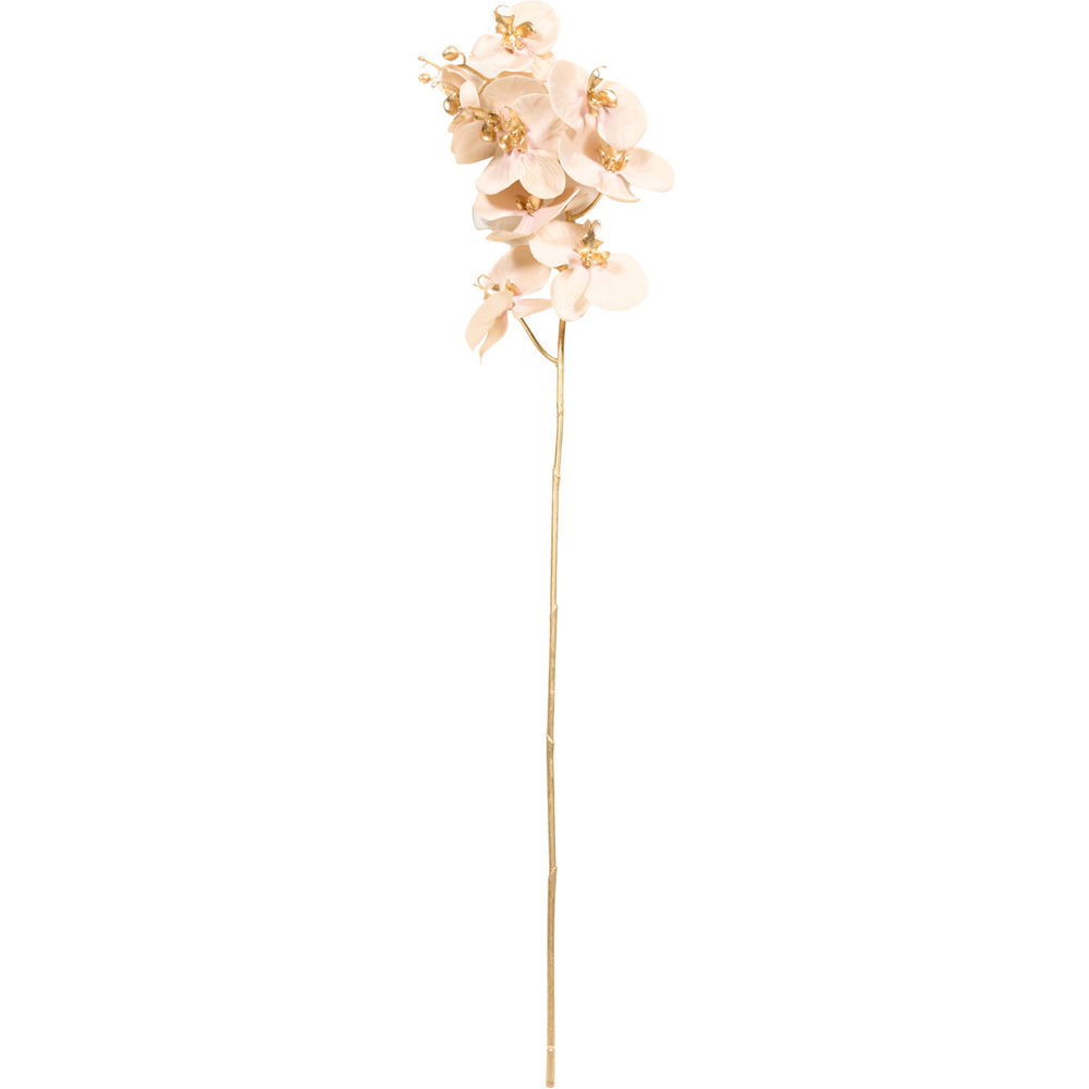 Shimmer Orchid Stem Image 2