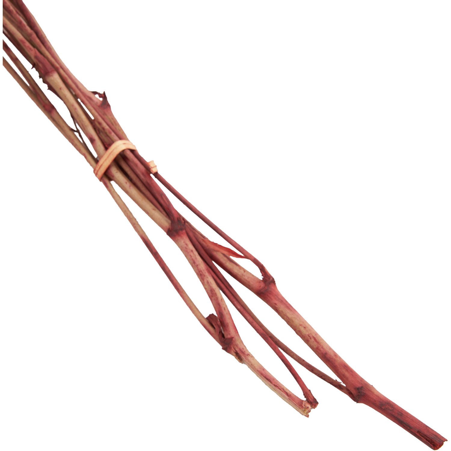 Gypsophilia Bouquet Image 5