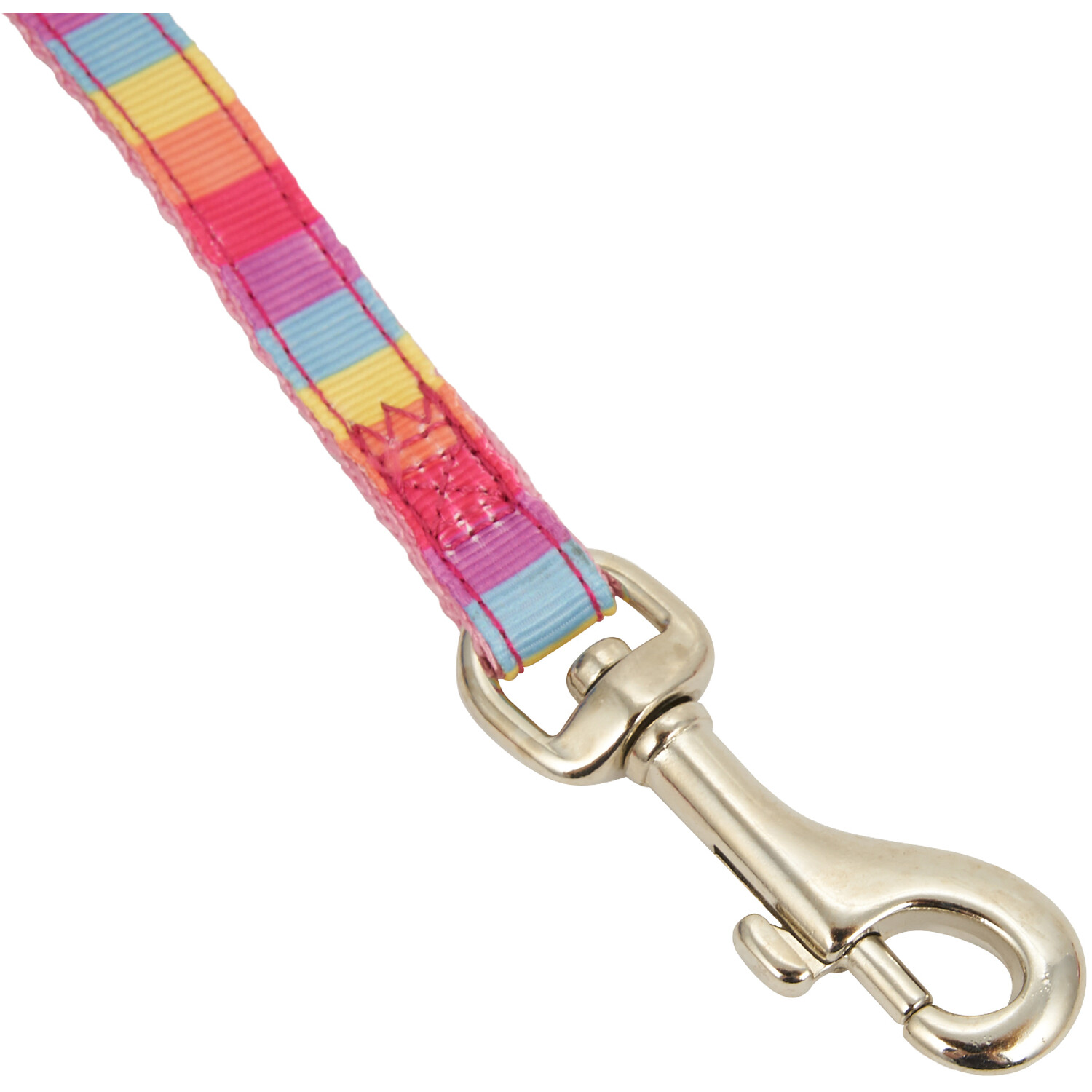 Small Bite Rainbow Collar and Lead Set Image 4