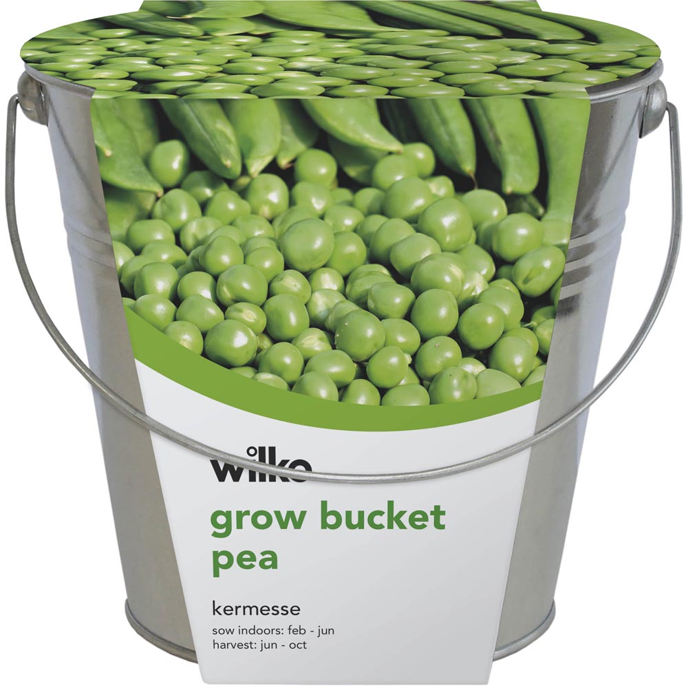 Wilko Pea Grow Bucket Image 2