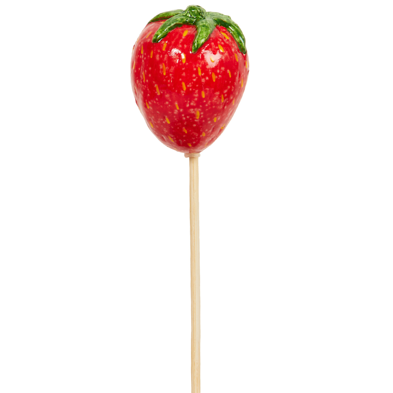 Fruit and Veg Garden Stakes Image 12