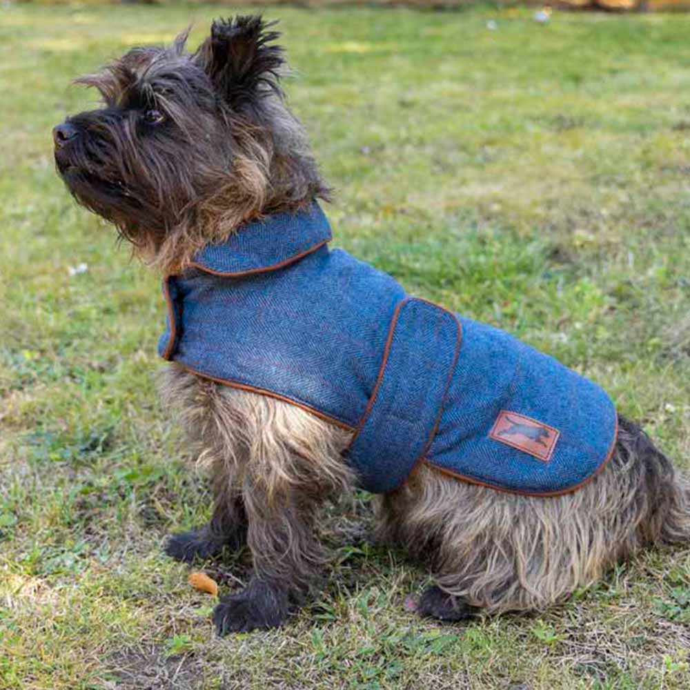 House Of Paws Small Navy Dark Tweed Dog Coat Image 3