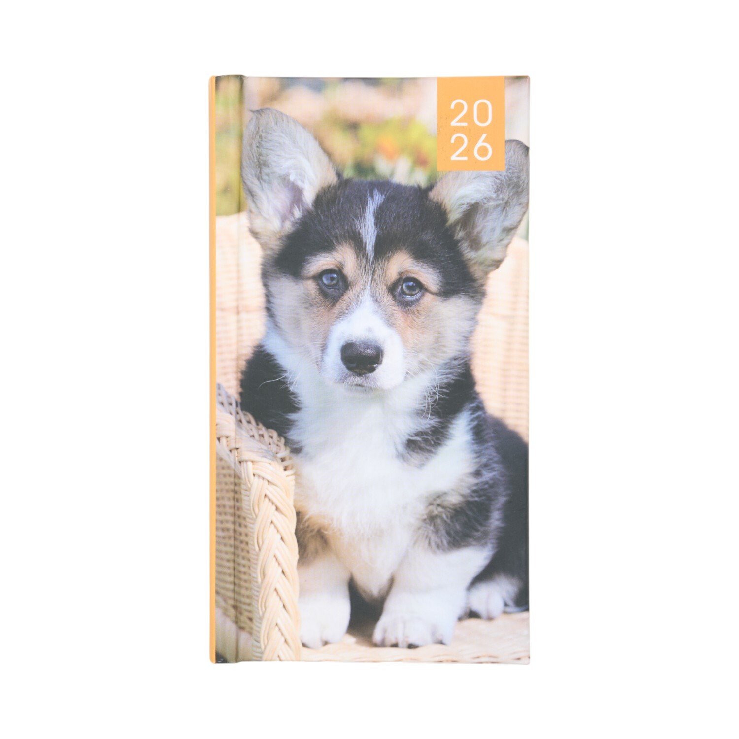 2026 Kittens or Puppies Slim Pocket Diary Image 8