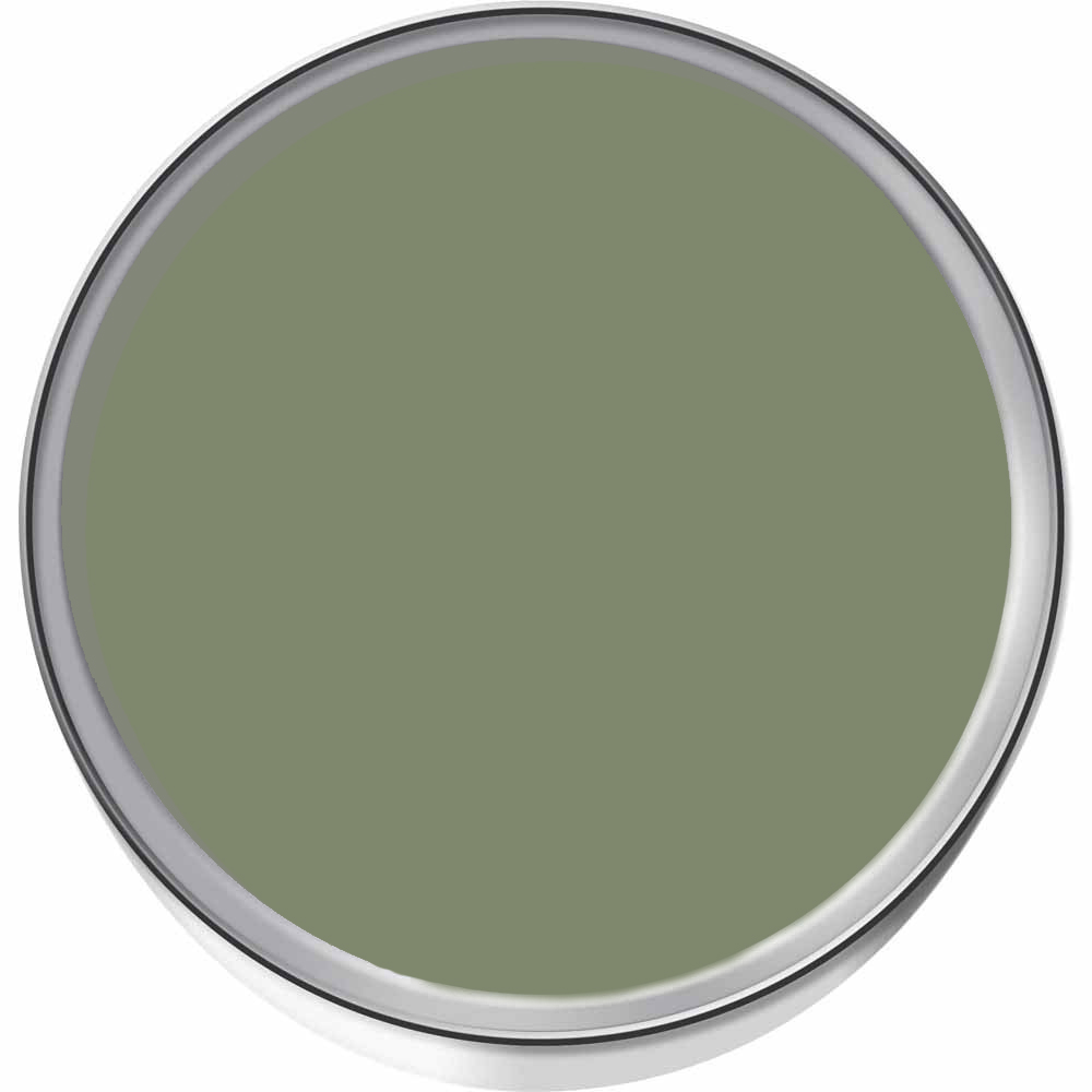 Craig & Rose 1829 Vintage Walls Wood and Metal Deep Adam Green Gloss Mixed Paint 2.5L Image 3
