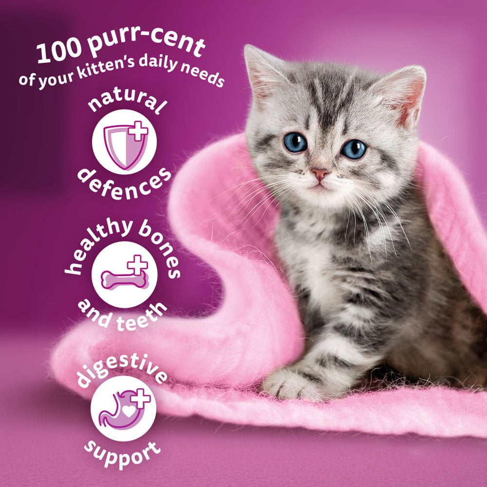 Whiskas Chicken Complete Kitten Dry Food 1.9kg Image 4