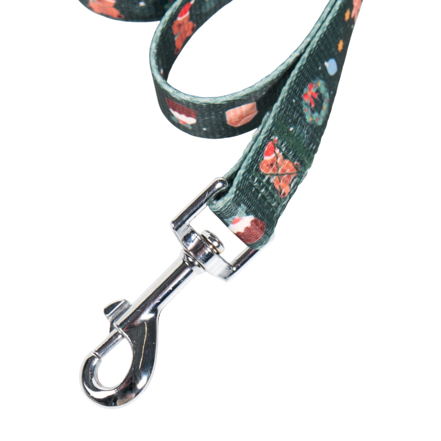 Festive Dog Lead and Collar Set Teal S Image 5