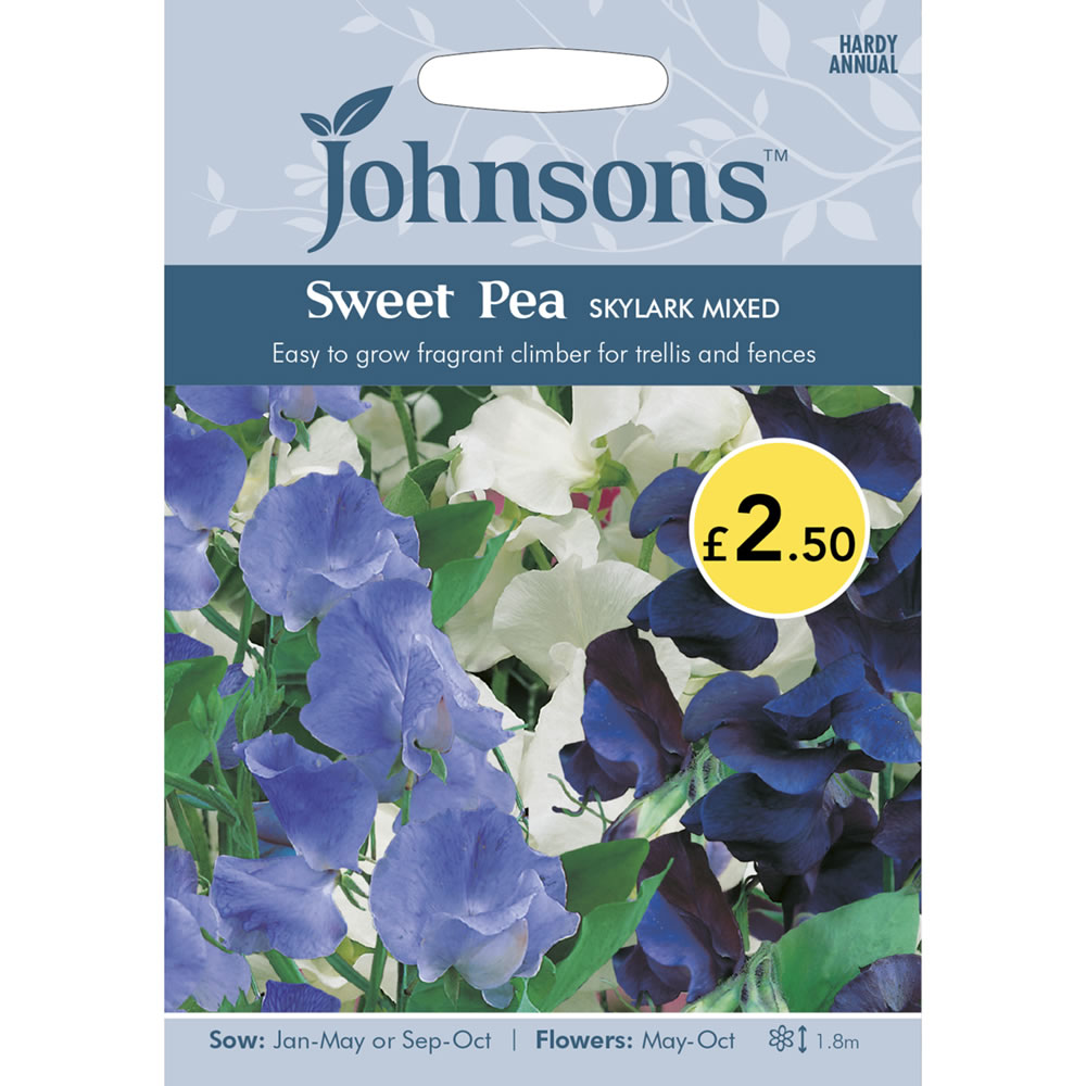 Johnsons Sweet Pea Skylark Seeds Image 2