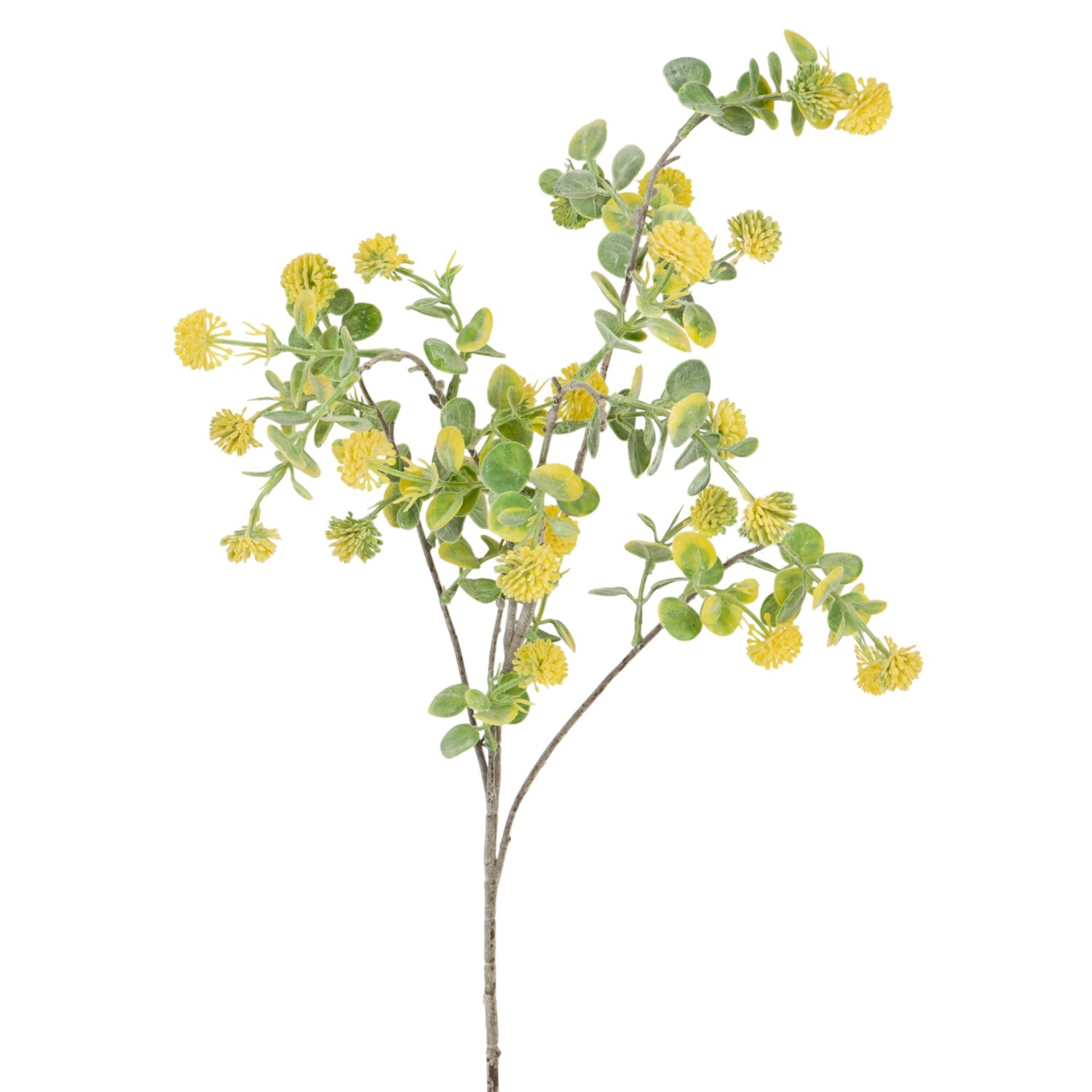 Floss Flower Spray Image 4
