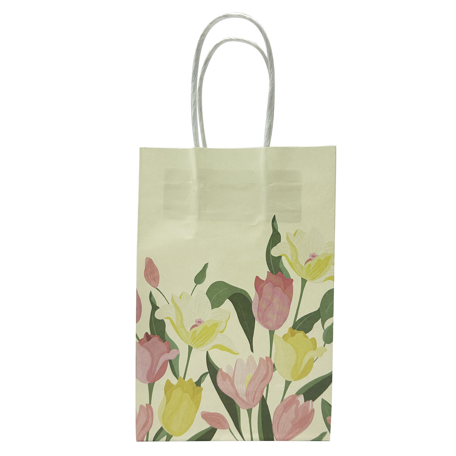 Pack of 6 Tulip Paper Bags - Multicolour Image 1