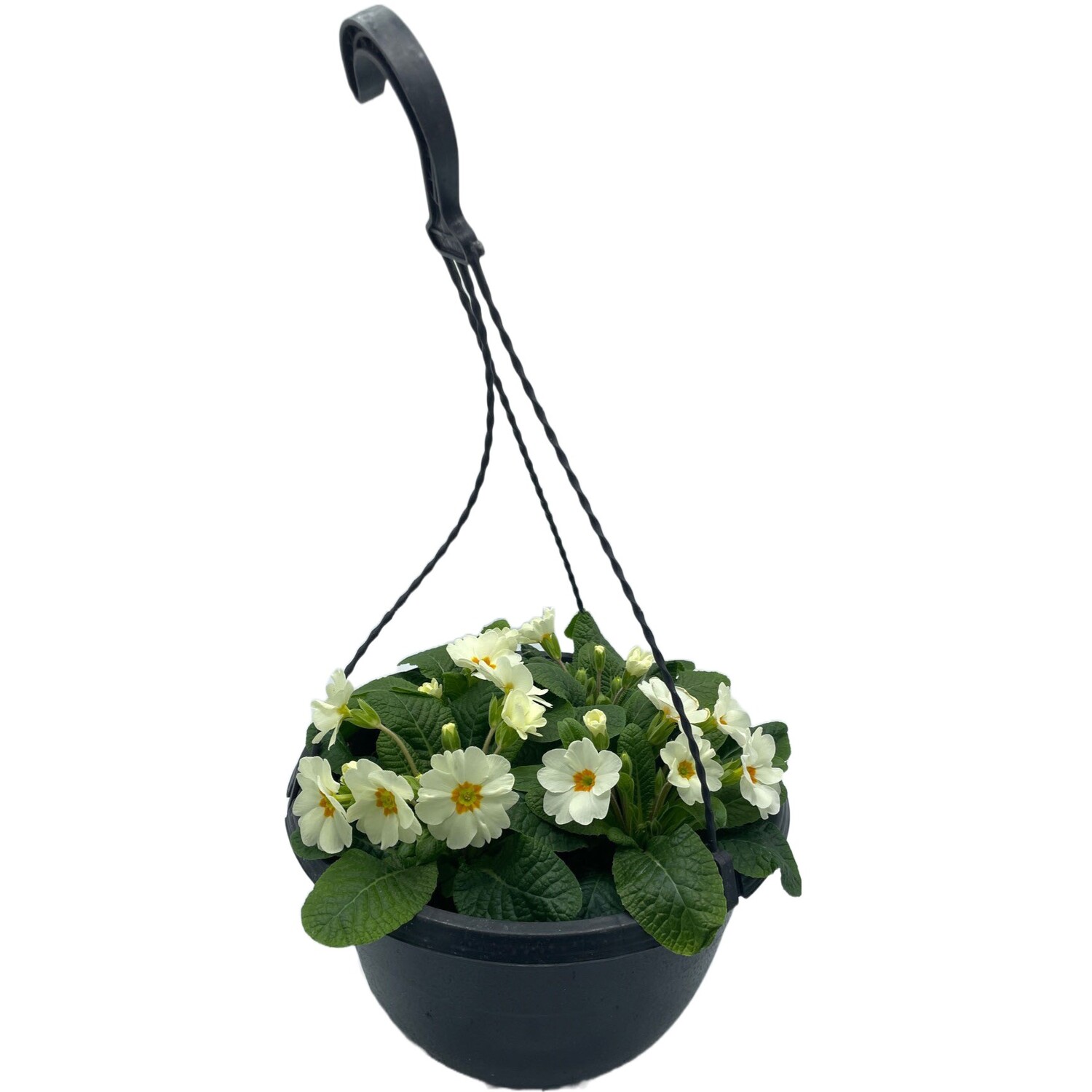 Spring Flowers Basket Image
