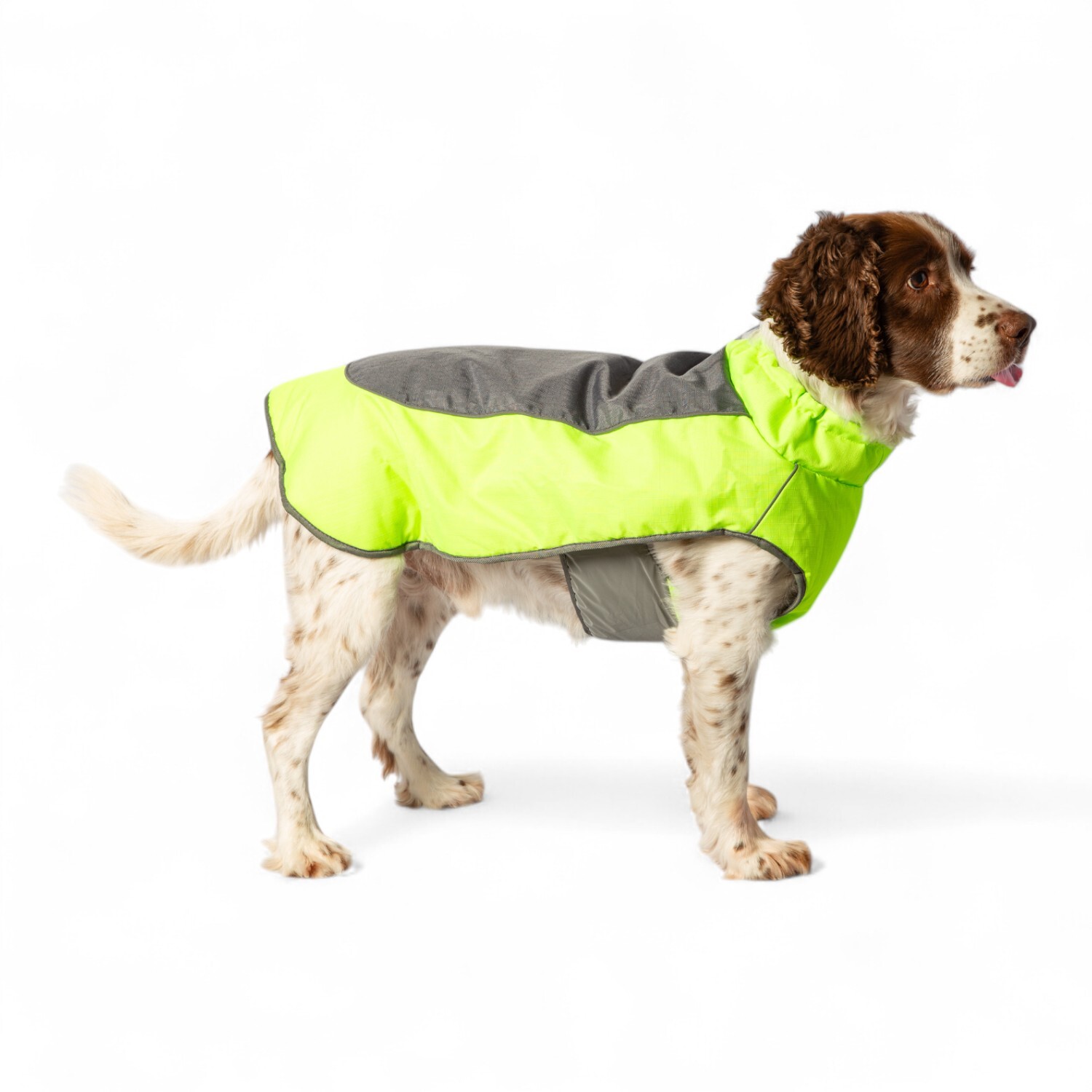 High Visibility Padded Dog Jacket Neon Green M Image 5