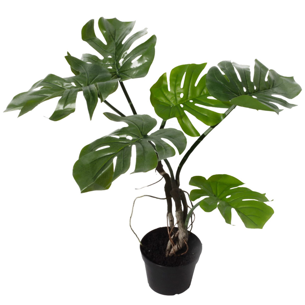 Leaf Monstera Twisted Cheese Artificial Plant Pot 60cm Image 1