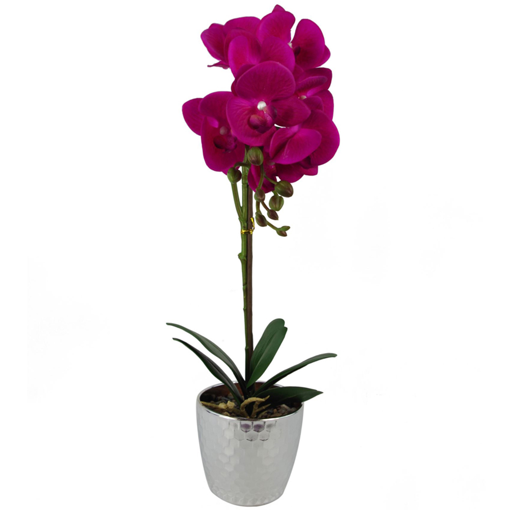 Leaf Dark Pink Phalaenopsis Orchid Artificial Plant with Silver Pot 50cm Image 1