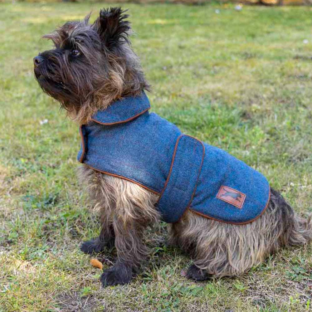 House Of Paws Medium Navy Dark Tweed Dog Coat Image 3