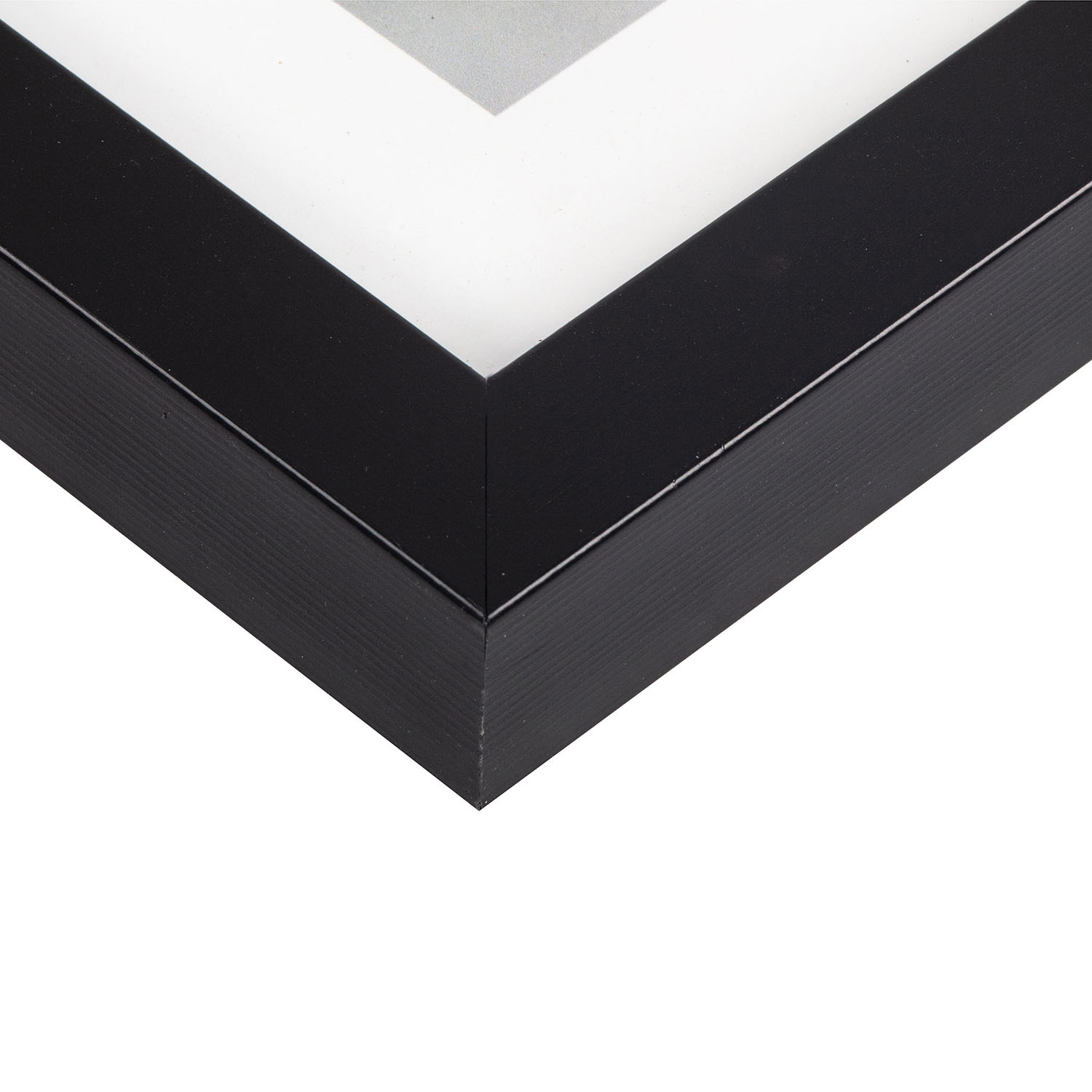 Monochrome Animal Framed Print - Black and White Image 4