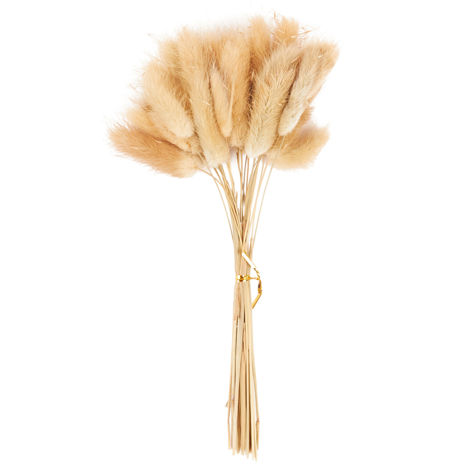 Hares Tail Grass or Wheat Decorative Picks Image 5