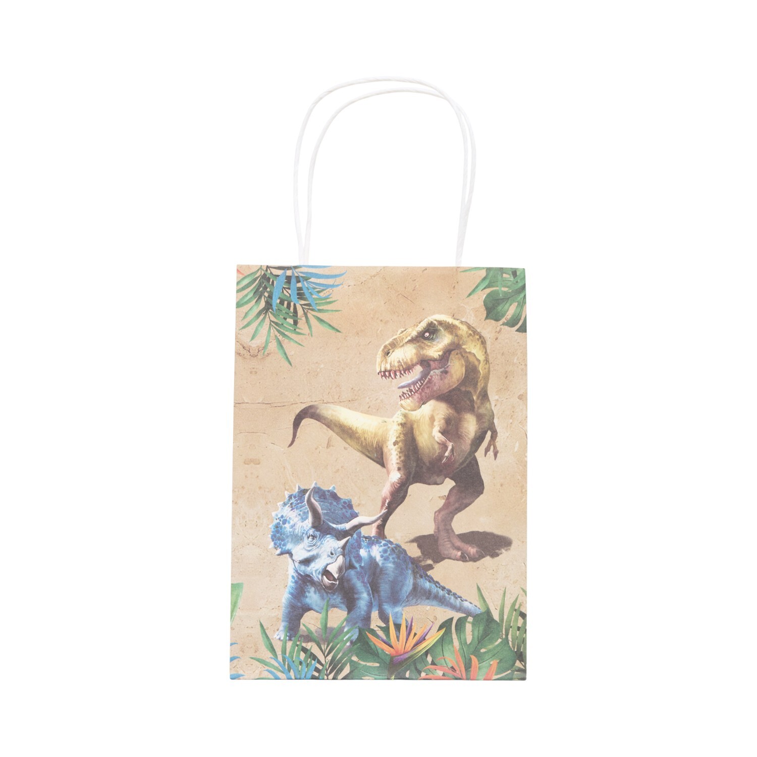 Pack of 8 Dinosaur Party Bags Brown Image 3