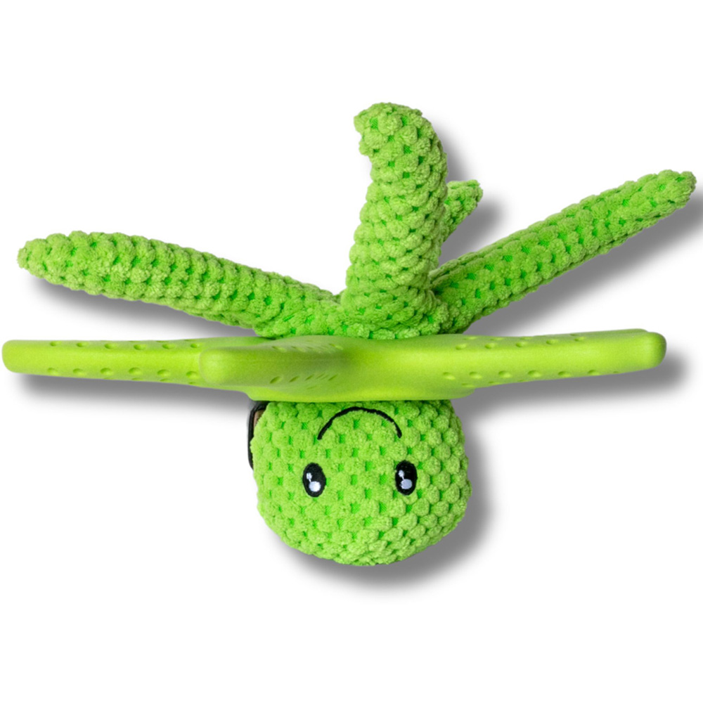 Kiwi Walker Lets Play Green Octopus and Starfish Dog Toy Image 4