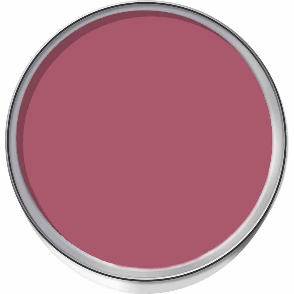 Wilko Bohemian Raspberry Emulsion Paint Tester Pot 75ml Image 3