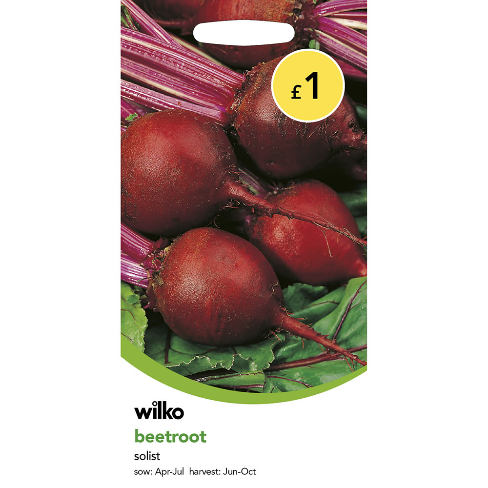 Wilko Beetroot Solist Seeds Image 2