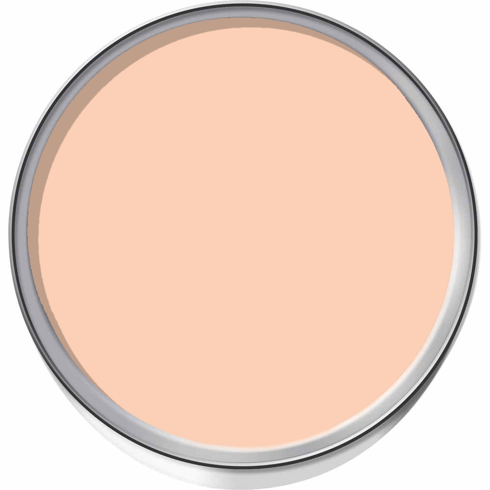 Wilko Tough & Washable Peach Blush Matt Emulsion Paint 2.5L Image 4