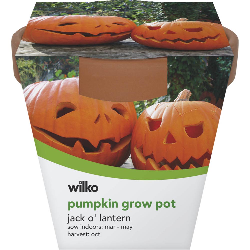 Wilko Terracotta Grow Pot - Pumpkin Image
