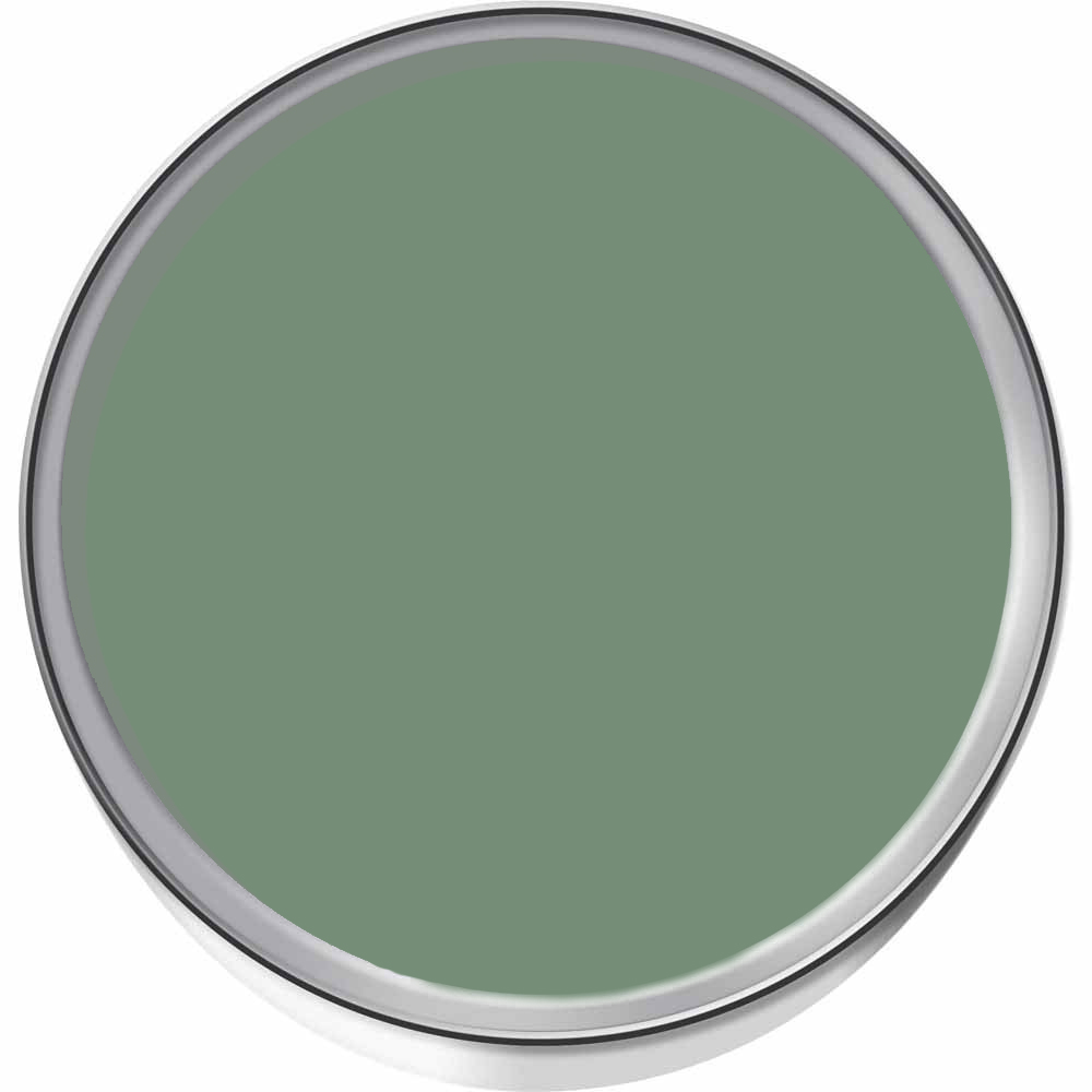 Dulux Heritage Walls and Ceilings DH Grass Green Velvet Matt Emulsion Paint 1L Image 3