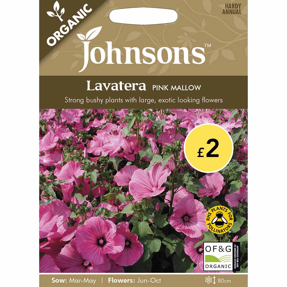 Johnsons Seeds Organic Lavatera Pink Mallow Image 1