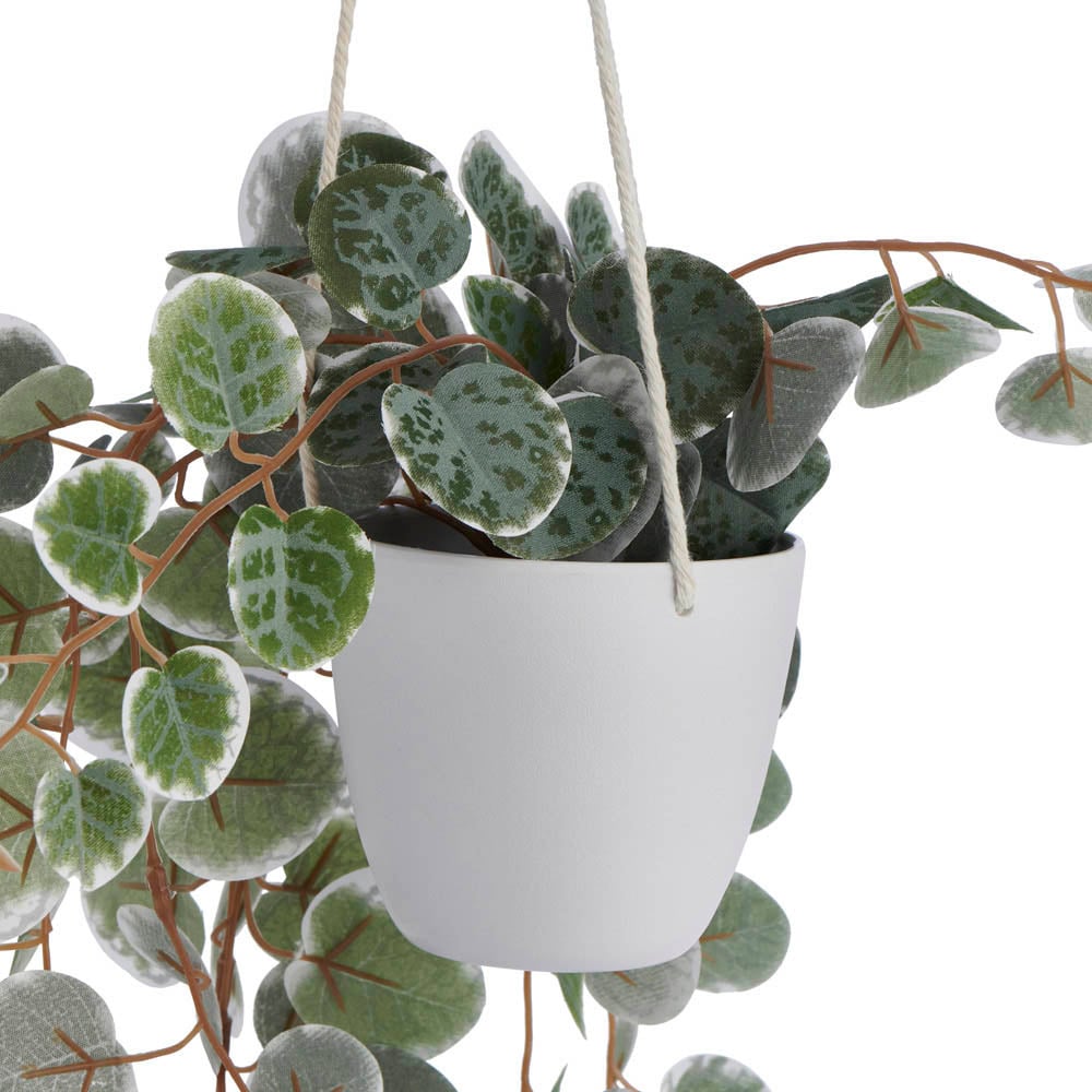 Wilko Hanging Trailing Plant in Pot Wilko
