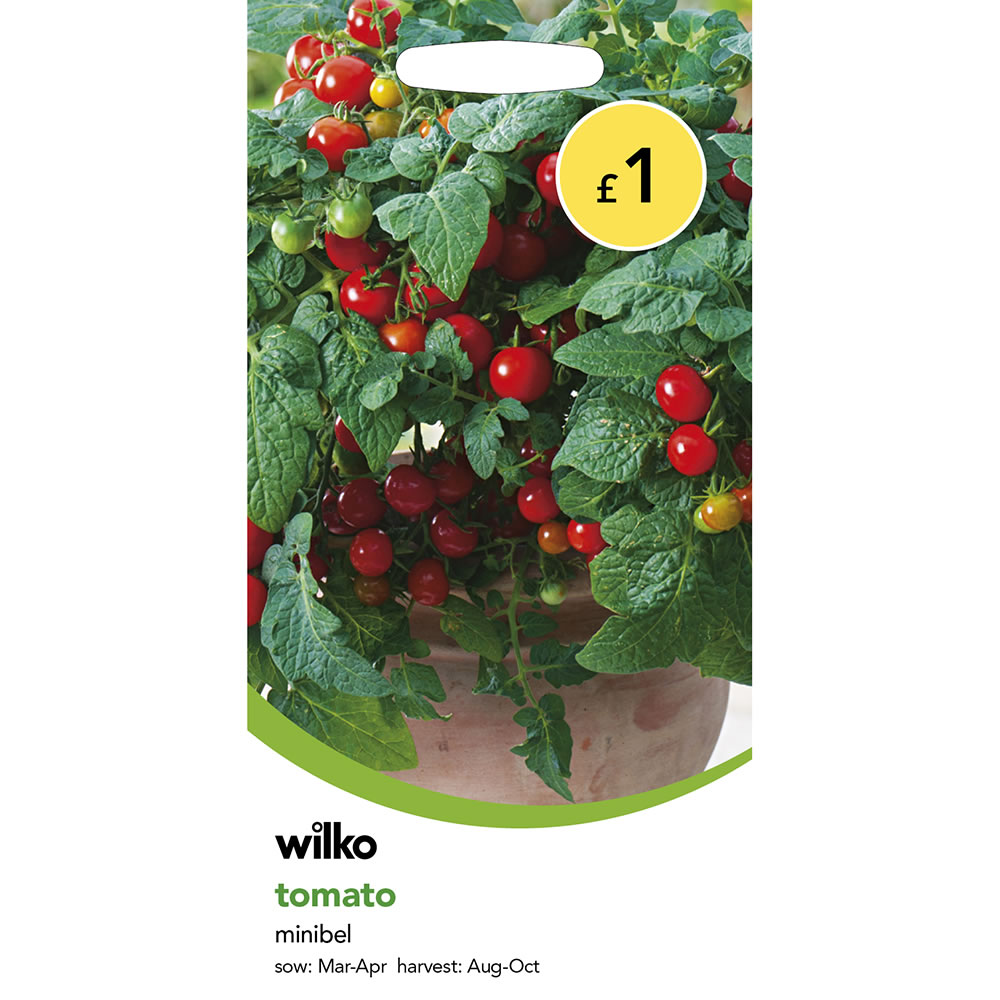 Wilko Tomato Minibel Seeds Image 2