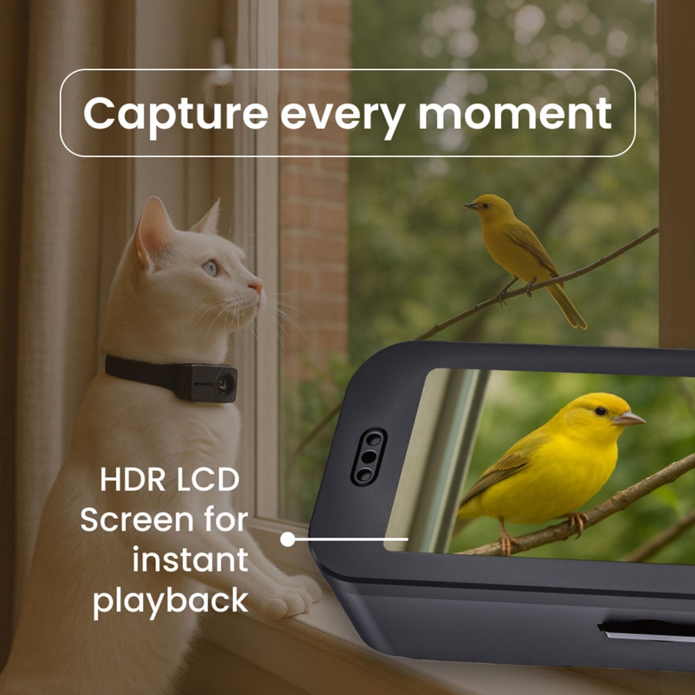 noerden PetPOV HD Pet Collar Camera Image 4
