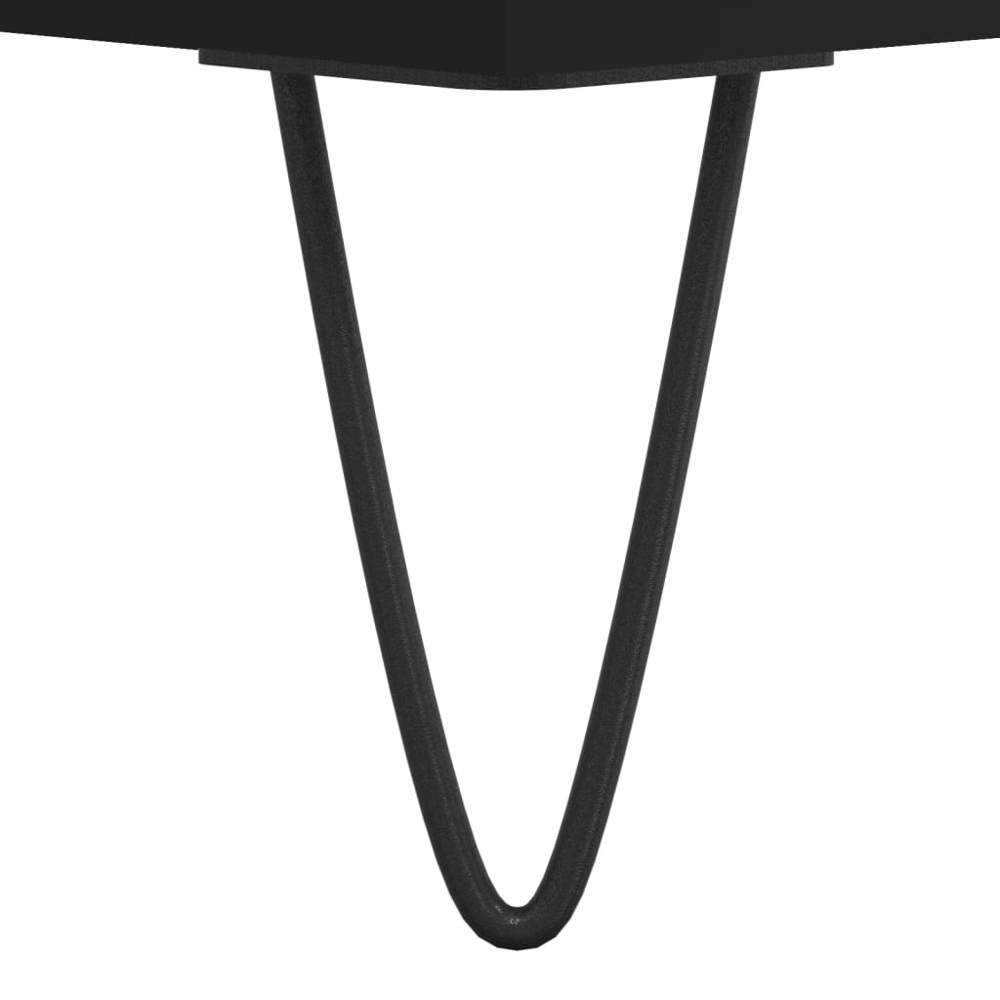 vidaXL Black Record Cabinet Image 7