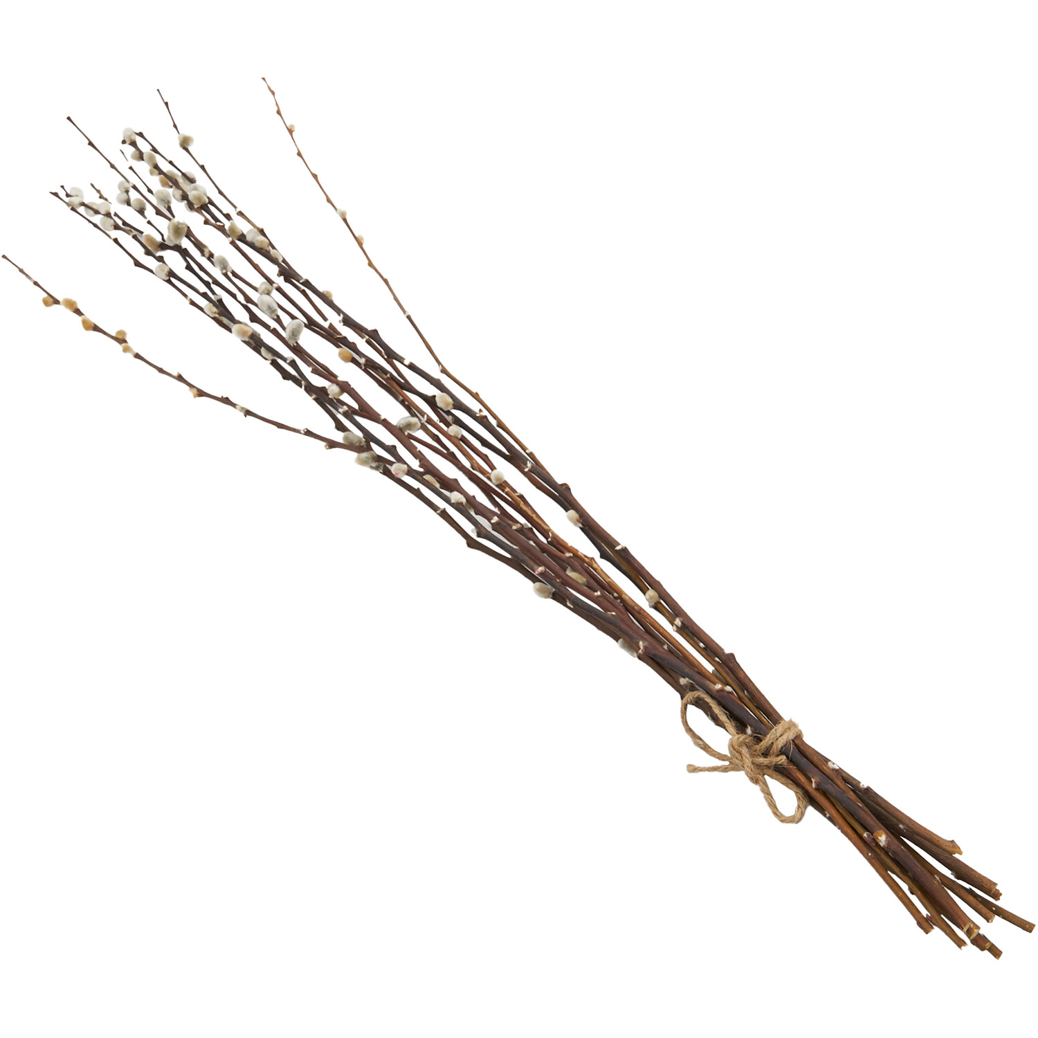 Pussywillow Bouquet - Natural Image 1