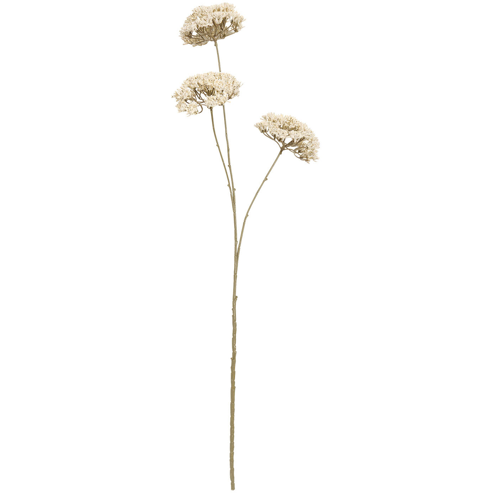 Queen Annes Lace Decorative Stem Image 7