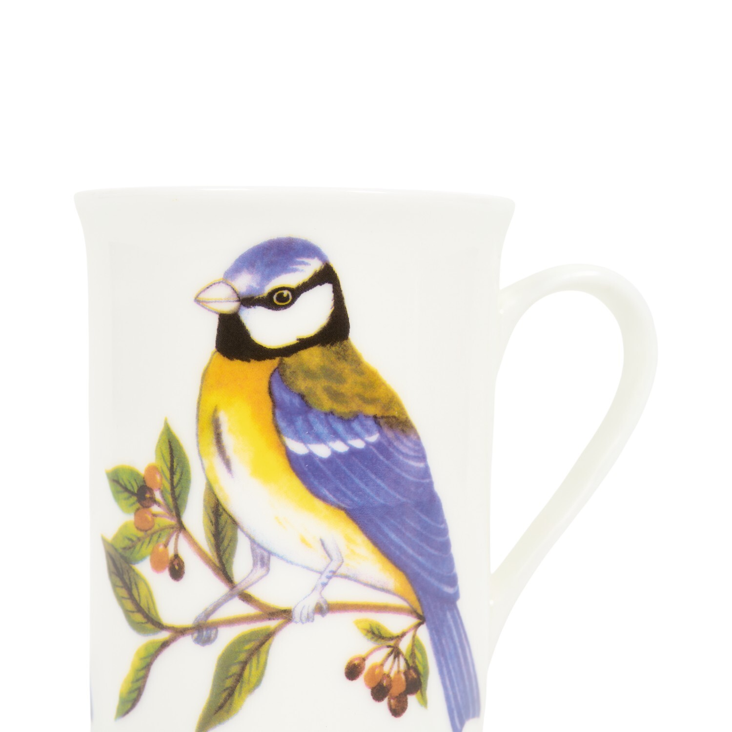 Panama Blue Tit or Robin Mug Image 6
