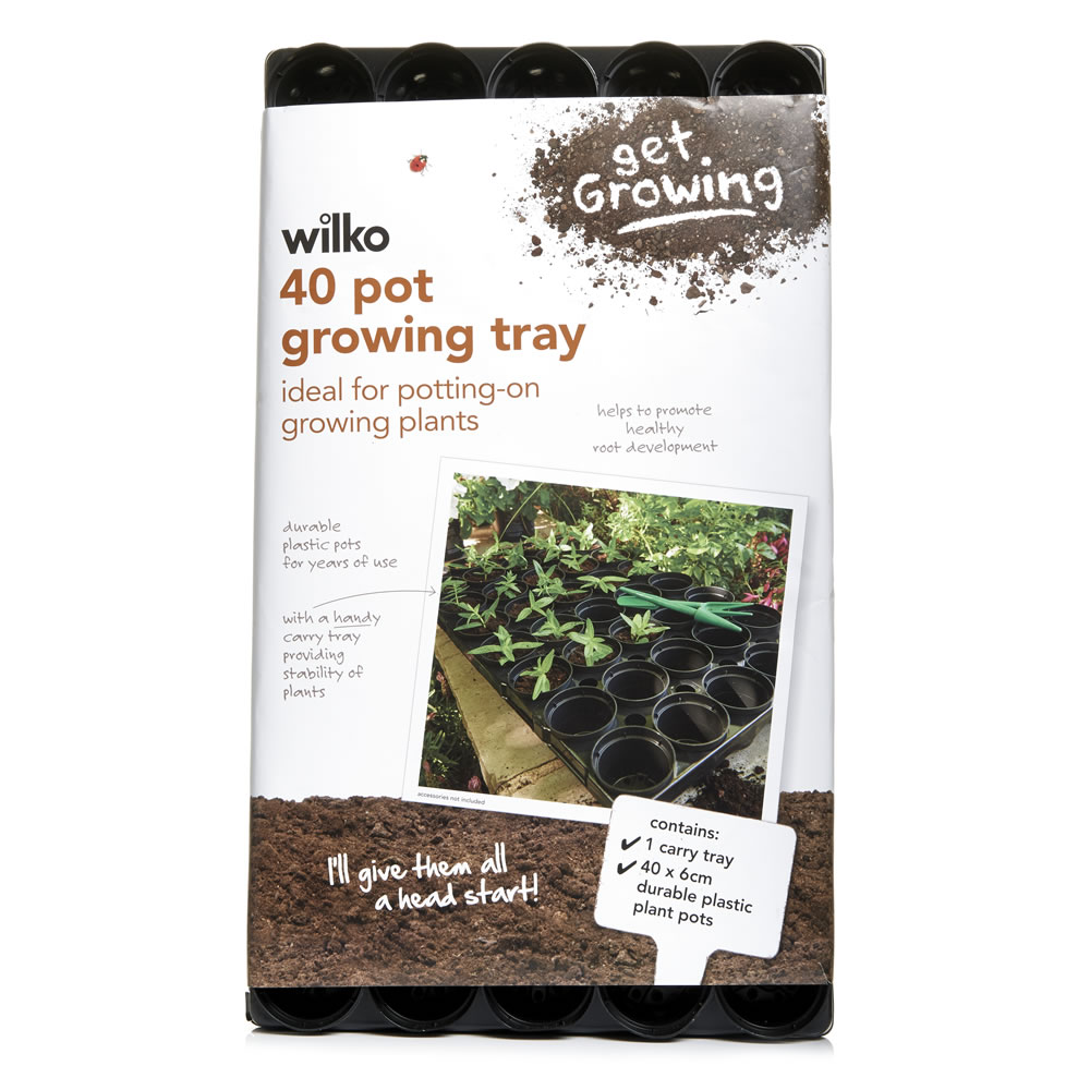 Wilko 40 Pot Growing Tray  - Garden & Outdoor Our 40 Pot Growing Tray is ideal for potting on growing plants. The durable plastic pots set into a handy carry tray help to promote healthy root development and provide stability for developing plants. The size of these pots mean that they're perfect for sowing seeds directly into as well as for establishing small seedlings and cuttings before planting into final containers or beds.  Contains 1x carry tray and 40x durable plastic plant pots (6cm diameter) Wilko 40 Pot Growing Tray