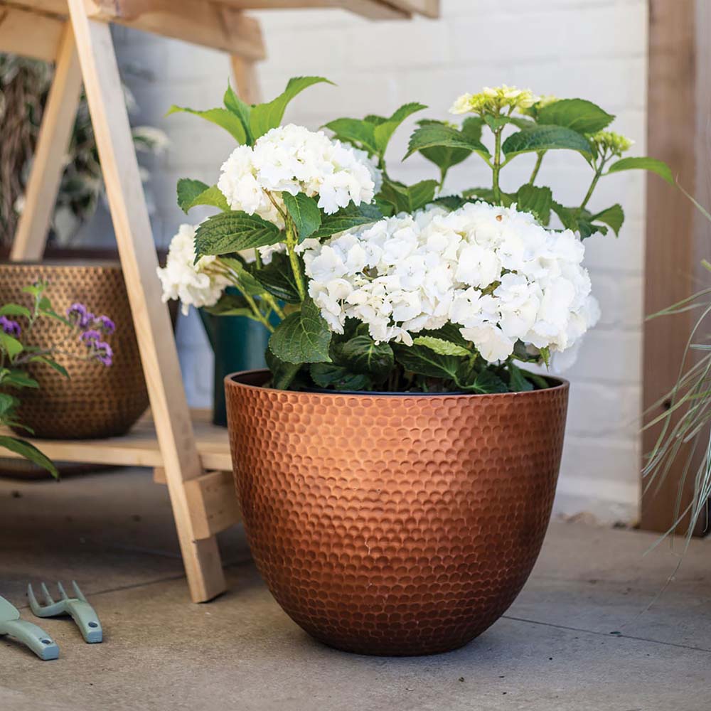 Plant Avenue Elements Copper Plant Pot 38cm Image 4