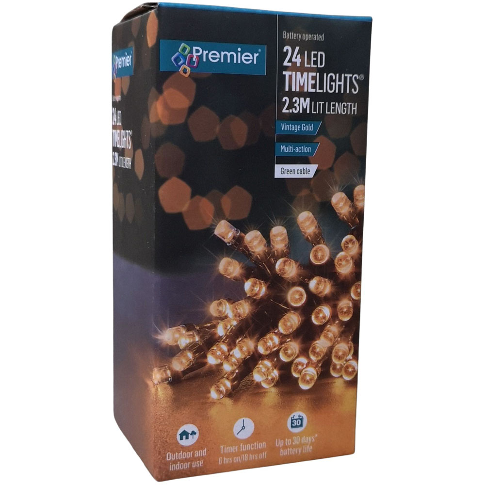 Premier TimeLights 24 Vintage Gold LED Multi-Function Christmas String Light 2.3m Image 2
