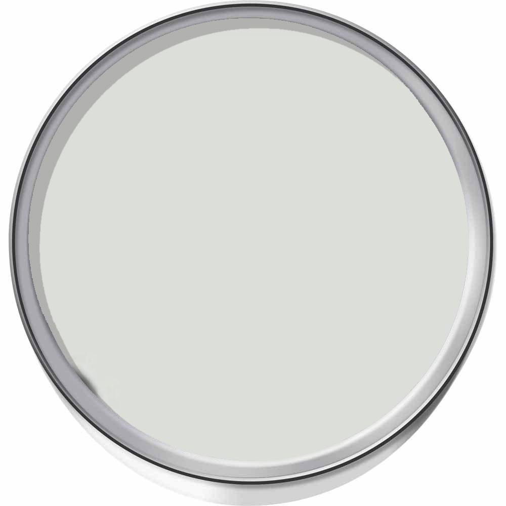 Dulux Heritage Walls and Ceilings Silver Fern Velvet Matt Emulsion Paint 1L Image 3