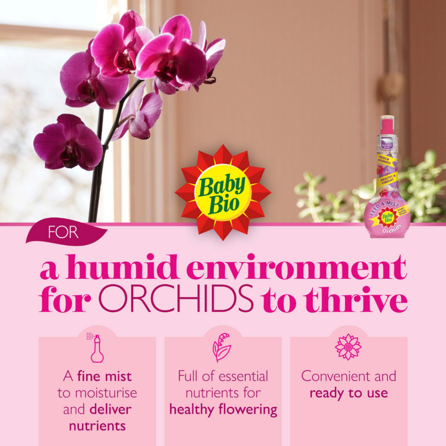Baby Bio Orchid Feed and Mist Image 3