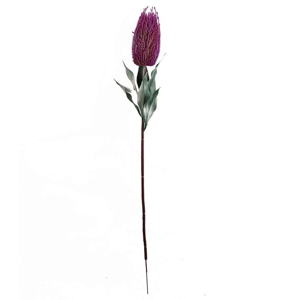 Leaf Pink Banksia Menziesii Artificial Stem 75cm 6 Pack Image 4