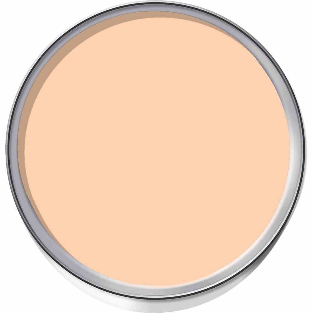 Wilko Walls & Ceilings Peach Blush Silk Emulsion Paint 2.5L Image 3