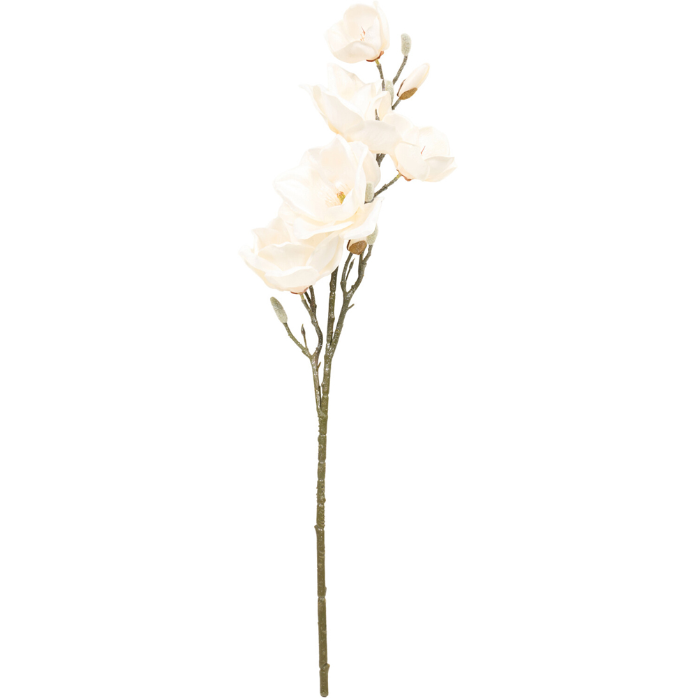 Shimmer Magnolia Stem Image 3