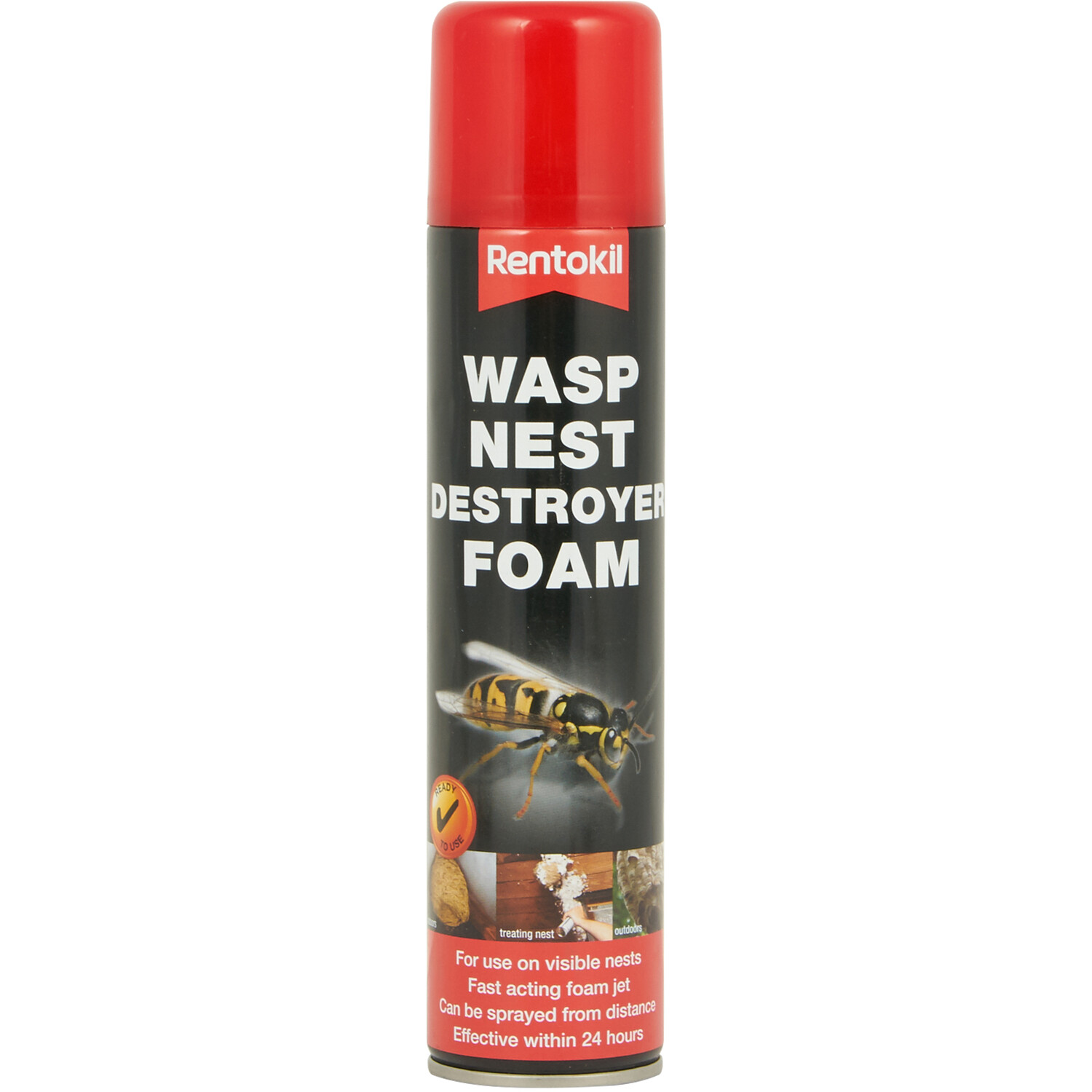 Wasp Nest Destroyer Foam Image 1