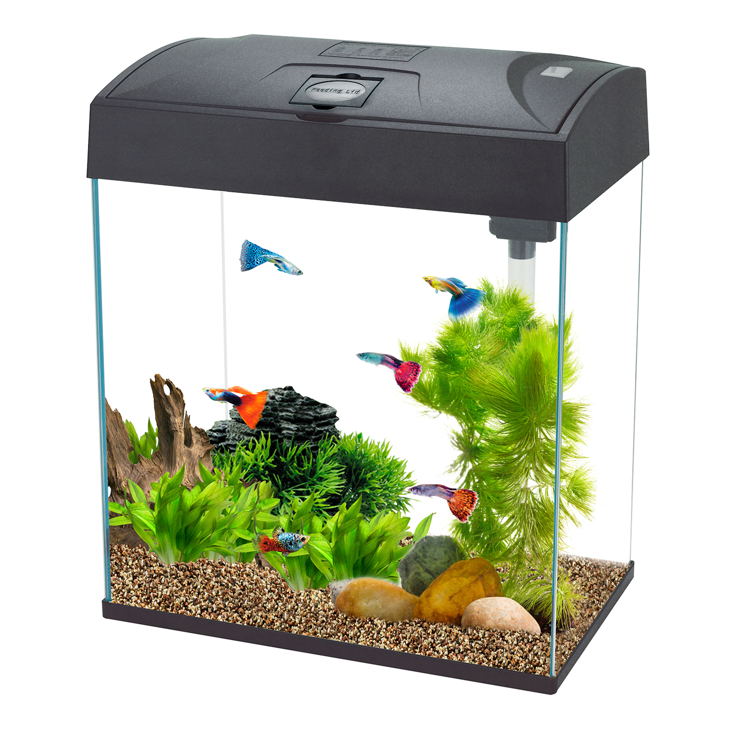 Fish R Fun Black Rectangular LED Fish Tank 28L Image