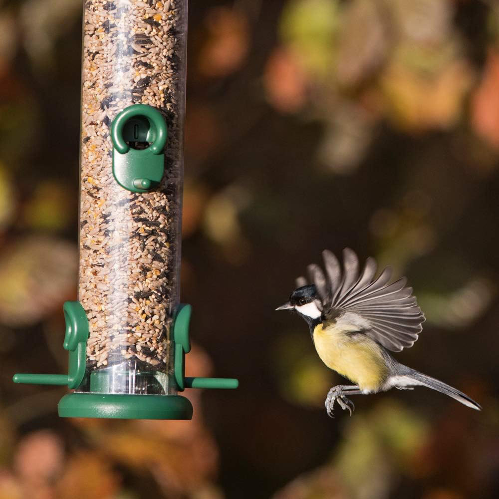 Happy Beaks Jacobi Jayne 4 Port Ring Pull Medium Seed Feeder Image 5